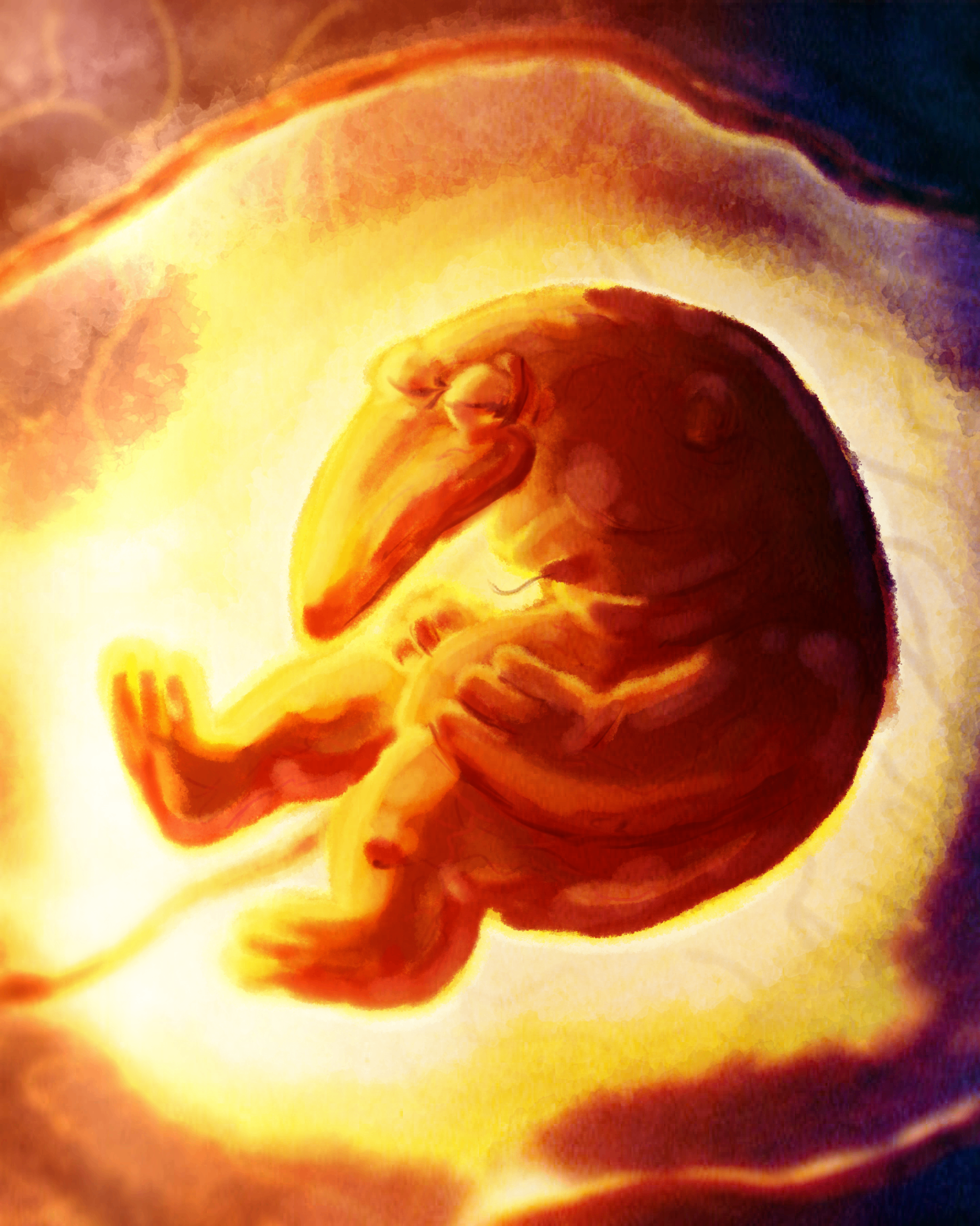 gremblob in utero (ultrasound leak)